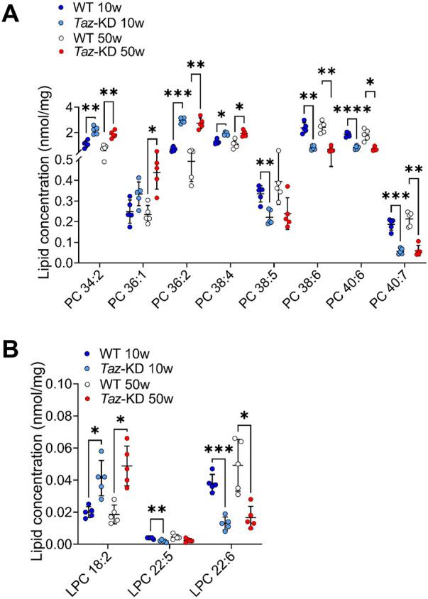 https://cdn.ncbi.nlm.nih.gov/pmc/blobs/0fba/11285559/db259d61b770/fmmed-04-1389456-g002.jpg
