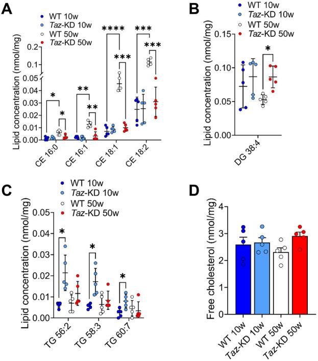 https://cdn.ncbi.nlm.nih.gov/pmc/blobs/0fba/11285559/e31882fc2211/fmmed-04-1389456-g007.jpg