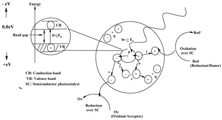 https://cdn.ncbi.nlm.nih.gov/pmc/blobs/0fba/6154329/c83a07eac638/molecules-22-00790-g001.jpg