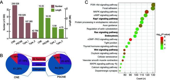 https://cdn.ncbi.nlm.nih.gov/pmc/blobs/0fbe/9113978/16b685346137/zr-43-3-367-2.jpg