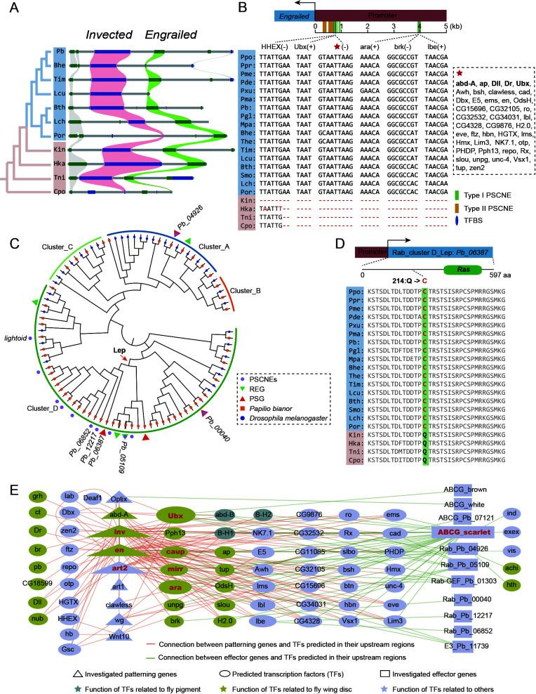 https://cdn.ncbi.nlm.nih.gov/pmc/blobs/0fbe/9113978/5f42eec0fd7b/zr-43-3-367-4.jpg