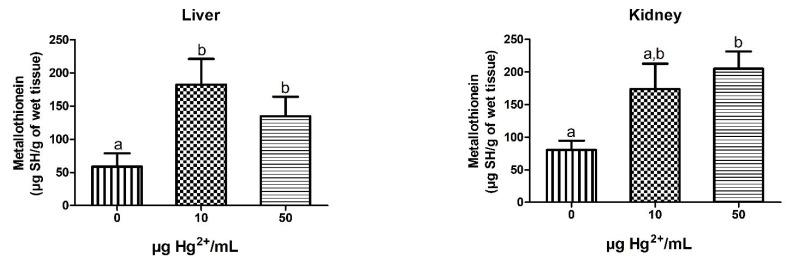 https://cdn.ncbi.nlm.nih.gov/pmc/blobs/0fbe/9696705/cff9d63d2c50/toxics-10-00664-g001.jpg