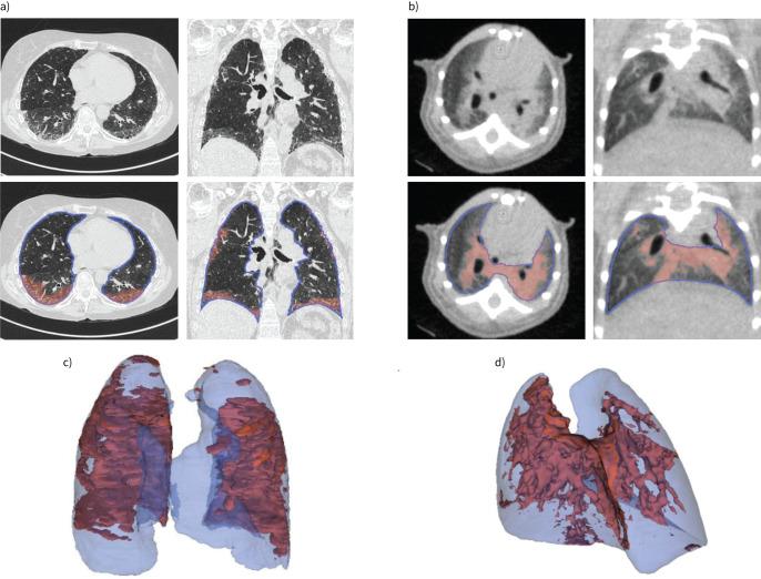 https://cdn.ncbi.nlm.nih.gov/pmc/blobs/0fbf/12406025/f35123758f82/ERR-0012-2025.01.jpg