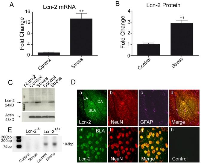 https://cdn.ncbi.nlm.nih.gov/pmc/blobs/0fbf/3621903/9900179e3a3d/pone.0061046.g004.jpg