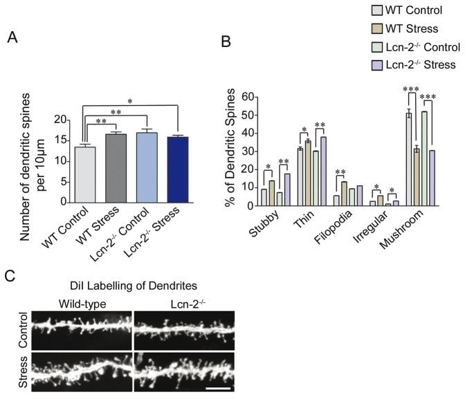 https://cdn.ncbi.nlm.nih.gov/pmc/blobs/0fbf/3621903/ed9d9304649f/pone.0061046.g005.jpg