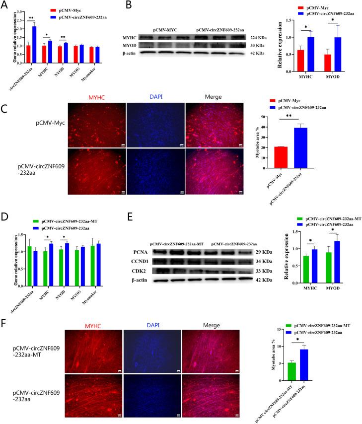 https://cdn.ncbi.nlm.nih.gov/pmc/blobs/0fc0/12179659/024fbd412222/gr7.jpg
