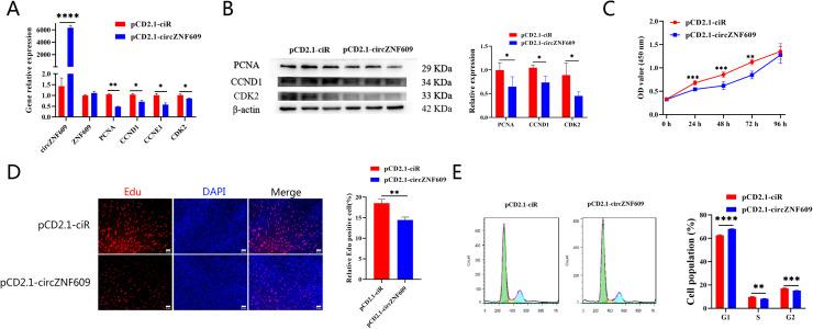 https://cdn.ncbi.nlm.nih.gov/pmc/blobs/0fc0/12179659/71cb7f92143e/gr2.jpg
