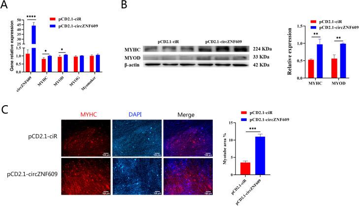 https://cdn.ncbi.nlm.nih.gov/pmc/blobs/0fc0/12179659/80307b80f5ad/gr3.jpg