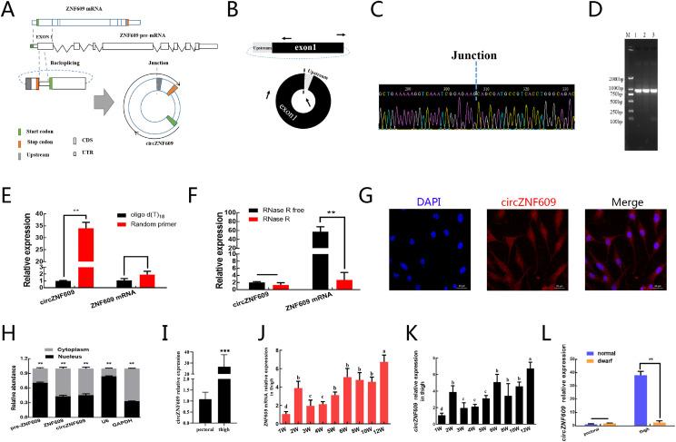 https://cdn.ncbi.nlm.nih.gov/pmc/blobs/0fc0/12179659/b557c5c215af/gr1.jpg