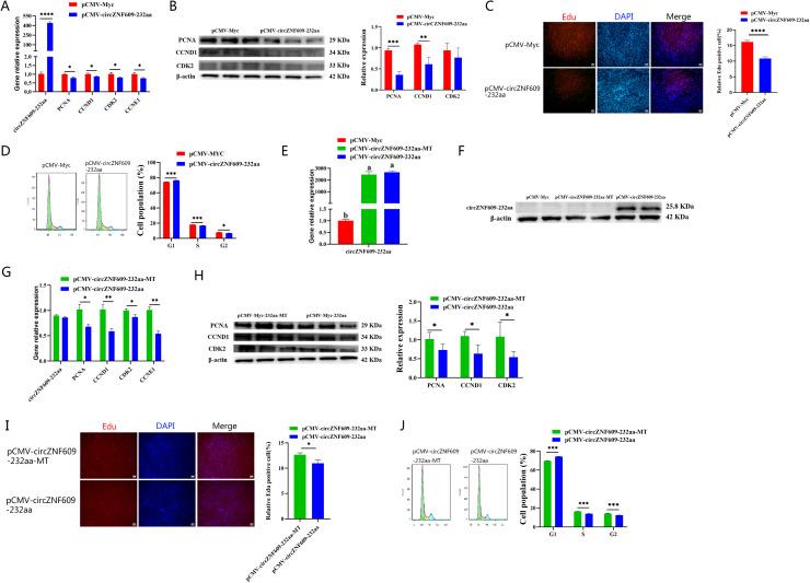 https://cdn.ncbi.nlm.nih.gov/pmc/blobs/0fc0/12179659/ddfb81043fe3/gr6.jpg