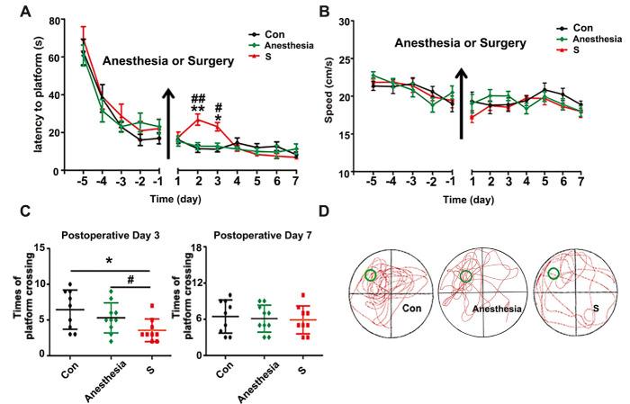 https://cdn.ncbi.nlm.nih.gov/pmc/blobs/0fc0/7505279/043e1a94cd16/ad-11-5-1029-g1.jpg