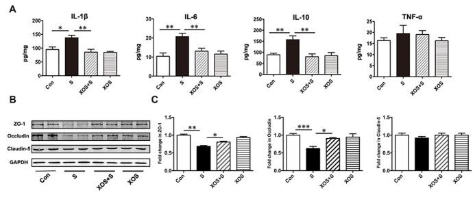 https://cdn.ncbi.nlm.nih.gov/pmc/blobs/0fc0/7505279/1a5df565ff80/ad-11-5-1029-g5.jpg