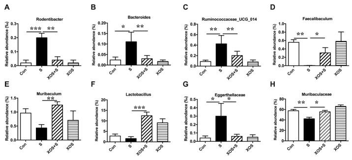 https://cdn.ncbi.nlm.nih.gov/pmc/blobs/0fc0/7505279/37a63dce327f/ad-11-5-1029-g4.jpg