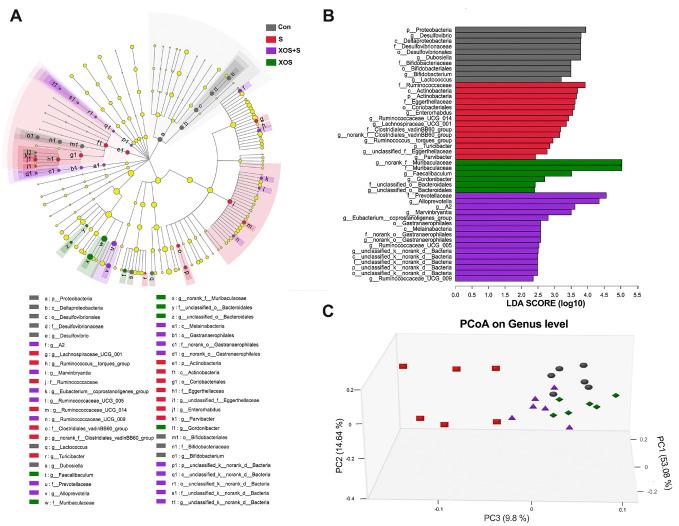 https://cdn.ncbi.nlm.nih.gov/pmc/blobs/0fc0/7505279/bf1076dff25b/ad-11-5-1029-g3.jpg