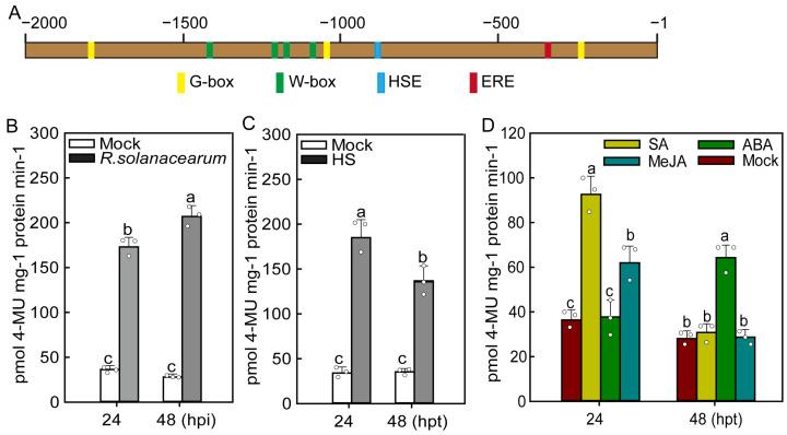https://cdn.ncbi.nlm.nih.gov/pmc/blobs/0fc1/11243954/bf1b2a9a40d0/plants-13-01775-g003.jpg