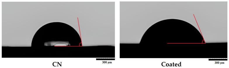https://cdn.ncbi.nlm.nih.gov/pmc/blobs/0fc7/10255753/1368949a1add/polymers-15-02506-g003.jpg