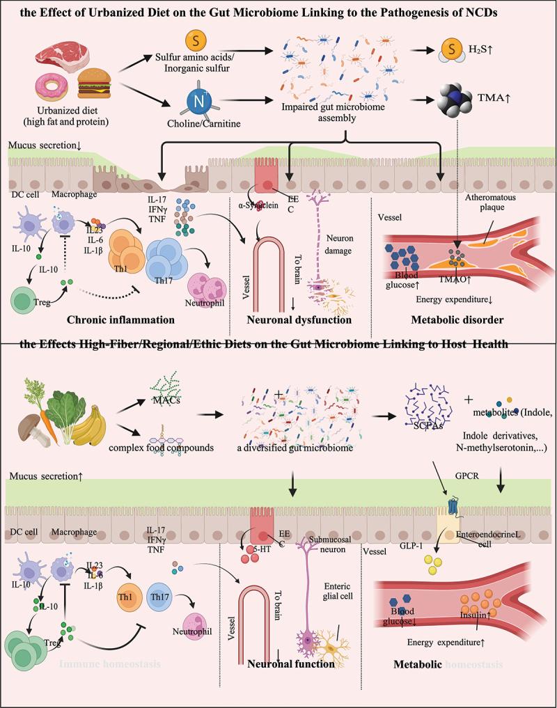 https://cdn.ncbi.nlm.nih.gov/pmc/blobs/0fc8/10376922/82d8b63a6e31/KGMI_A_2237645_F0003_OC.jpg