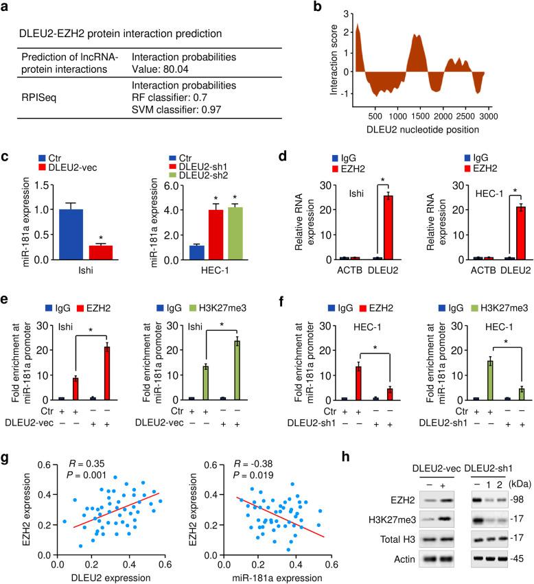 https://cdn.ncbi.nlm.nih.gov/pmc/blobs/0fc9/8235565/23aff9e999dd/13046_2021_2018_Fig7_HTML.jpg