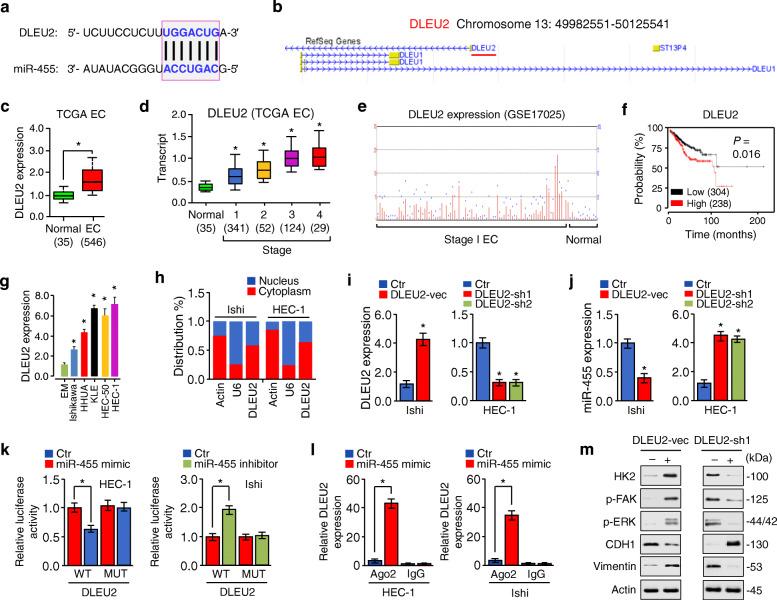 https://cdn.ncbi.nlm.nih.gov/pmc/blobs/0fc9/8235565/3d8ba42df53b/13046_2021_2018_Fig5_HTML.jpg