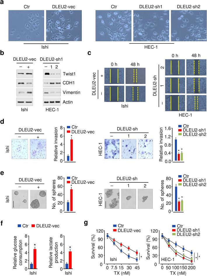https://cdn.ncbi.nlm.nih.gov/pmc/blobs/0fc9/8235565/a6c33c0bd474/13046_2021_2018_Fig6_HTML.jpg