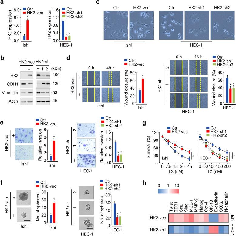 https://cdn.ncbi.nlm.nih.gov/pmc/blobs/0fc9/8235565/be23f549828e/13046_2021_2018_Fig2_HTML.jpg