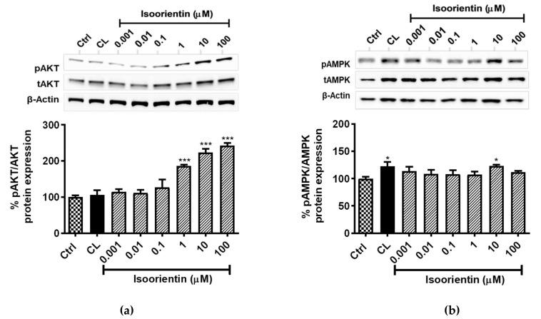 https://cdn.ncbi.nlm.nih.gov/pmc/blobs/0fcb/7221924/d4cc4815cc21/molecules-25-01773-g004.jpg