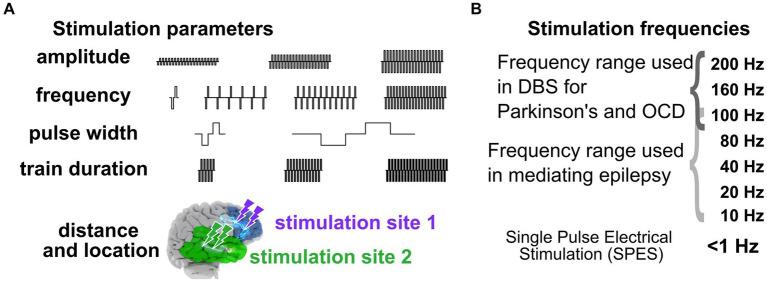 https://cdn.ncbi.nlm.nih.gov/pmc/blobs/0fcf/11408201/7c62182f79c1/fnhum-18-1439541-g002.jpg