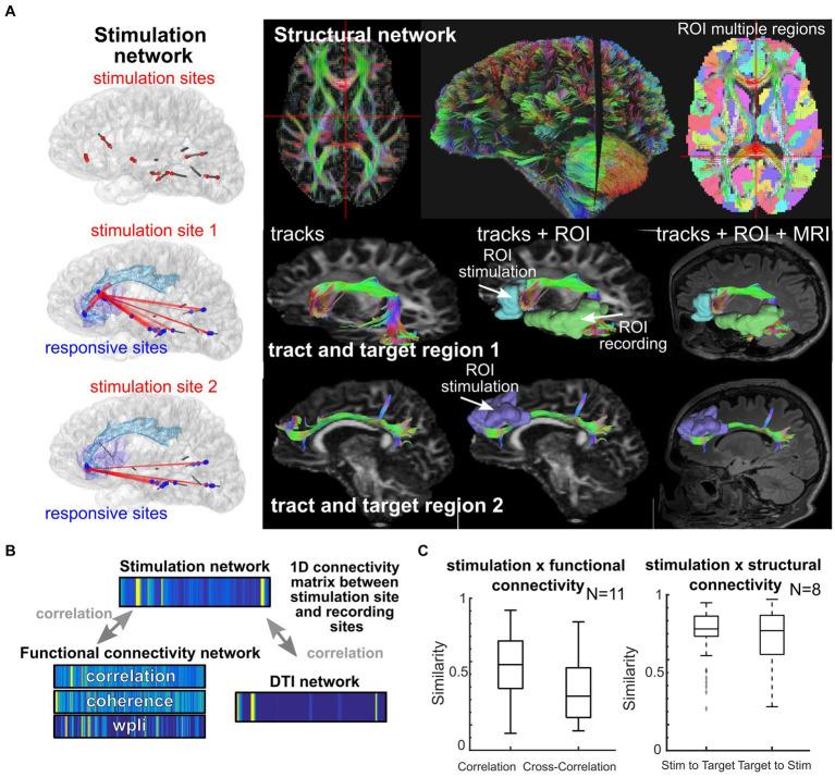https://cdn.ncbi.nlm.nih.gov/pmc/blobs/0fcf/11408201/9d4af7536020/fnhum-18-1439541-g005.jpg