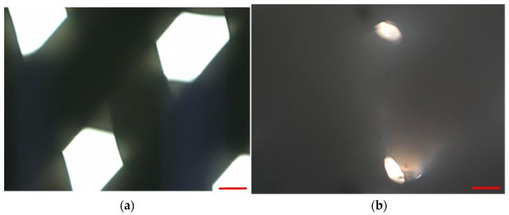 https://cdn.ncbi.nlm.nih.gov/pmc/blobs/0fcf/8911251/1ac896655d08/materials-15-01732-g005.jpg
