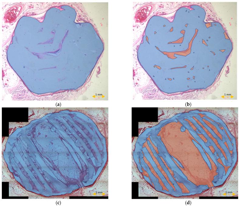 https://cdn.ncbi.nlm.nih.gov/pmc/blobs/0fcf/8911251/43829f272b81/materials-15-01732-g009.jpg