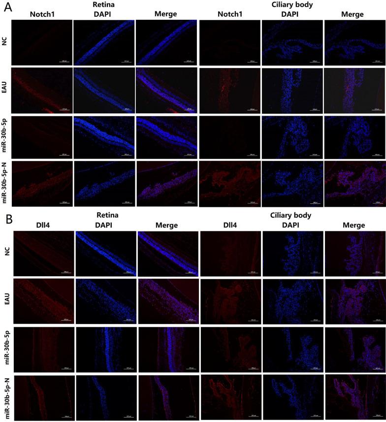 https://cdn.ncbi.nlm.nih.gov/pmc/blobs/0fd0/11987260/5aacea9d6093/12967_2025_6438_Fig5_HTML.jpg