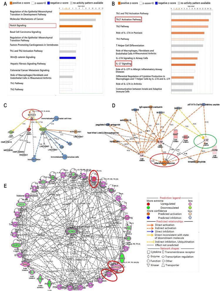 https://cdn.ncbi.nlm.nih.gov/pmc/blobs/0fd0/11987260/947e9731f1fd/12967_2025_6438_Fig6_HTML.jpg