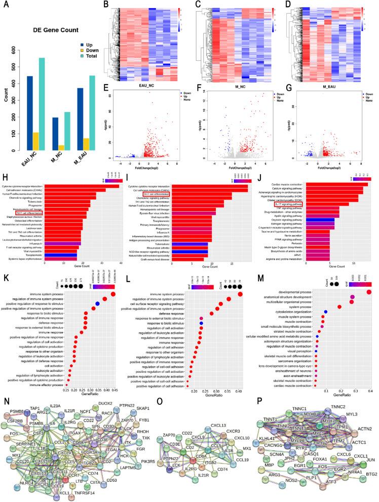 https://cdn.ncbi.nlm.nih.gov/pmc/blobs/0fd0/11987260/a72b4bef5b6f/12967_2025_6438_Fig2_HTML.jpg