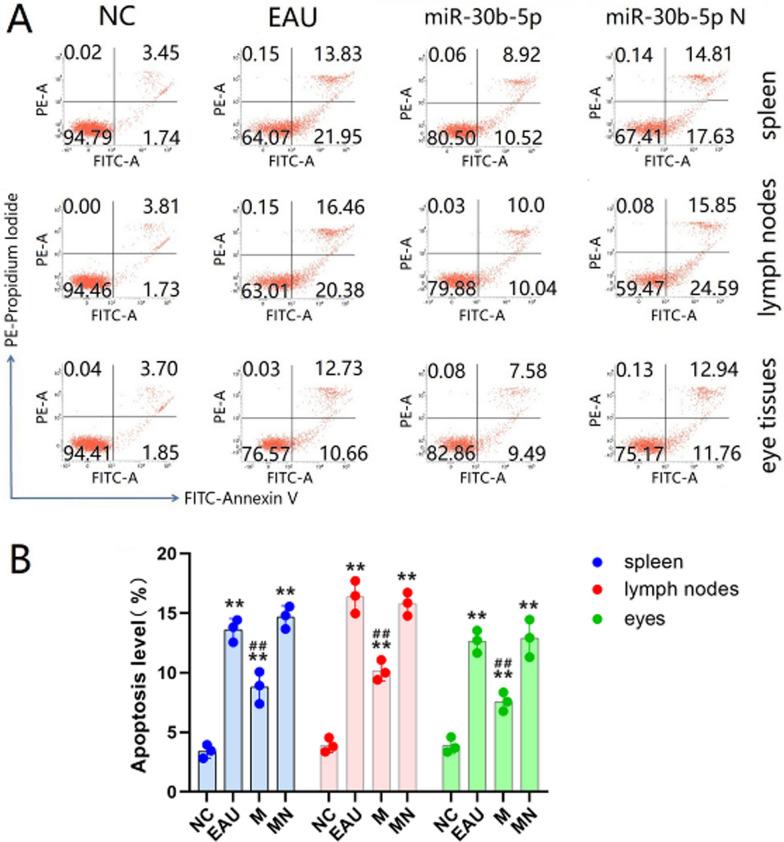 https://cdn.ncbi.nlm.nih.gov/pmc/blobs/0fd0/11987260/fa56014929ab/12967_2025_6438_Fig8_HTML.jpg