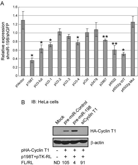 https://cdn.ncbi.nlm.nih.gov/pmc/blobs/0fd0/2607557/48f4267bc2e0/ppat.1000263.g005.jpg