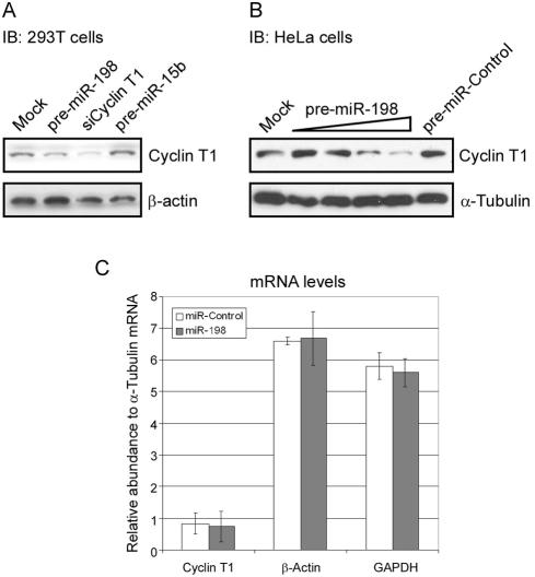 https://cdn.ncbi.nlm.nih.gov/pmc/blobs/0fd0/2607557/fc5655d5a672/ppat.1000263.g003.jpg