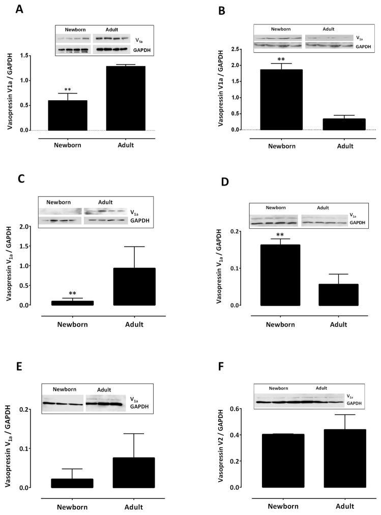 https://cdn.ncbi.nlm.nih.gov/pmc/blobs/0fd0/3986081/32f38e40dcaa/nihms4020f5.jpg