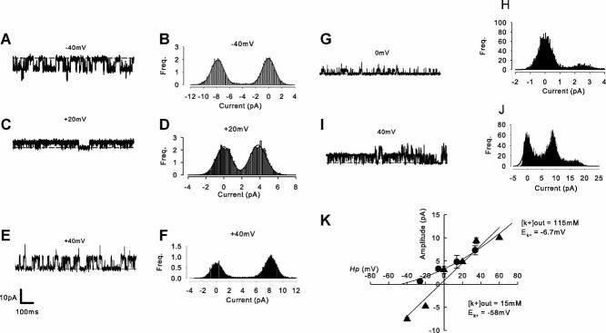 https://cdn.ncbi.nlm.nih.gov/pmc/blobs/0fd4/2883078/5da48483486b/jcp0223-0511-f2.jpg