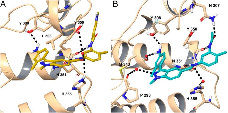 https://cdn.ncbi.nlm.nih.gov/pmc/blobs/0fd5/7936271/02a5ba69d27a/pnas.2021102118fig05.jpg