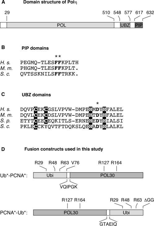 https://cdn.ncbi.nlm.nih.gov/pmc/blobs/0fd7/1807963/35639731f445/gkl1102f1.jpg
