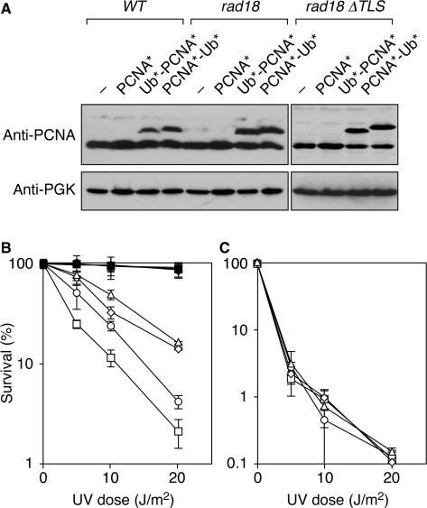 https://cdn.ncbi.nlm.nih.gov/pmc/blobs/0fd7/1807963/52818c357934/gkl1102f5.jpg
