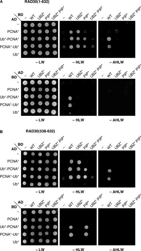 https://cdn.ncbi.nlm.nih.gov/pmc/blobs/0fd7/1807963/7a93863cd55f/gkl1102f2.jpg