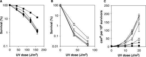 https://cdn.ncbi.nlm.nih.gov/pmc/blobs/0fd7/1807963/a128372ba924/gkl1102f3.jpg