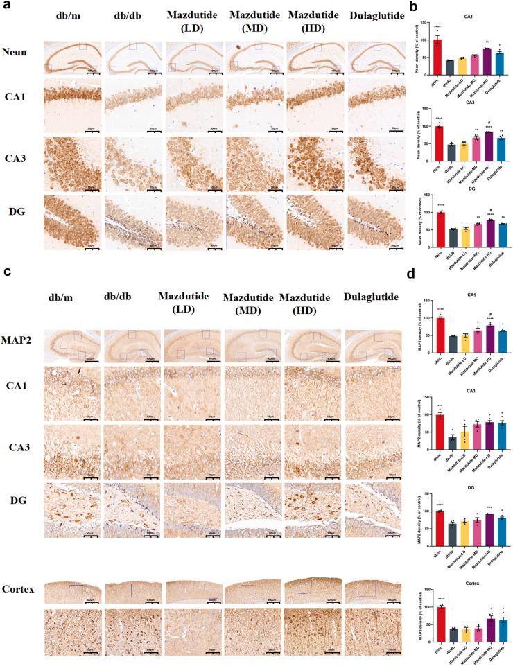 https://cdn.ncbi.nlm.nih.gov/pmc/blobs/0fd9/12205698/4e30a902bab6/gr8.jpg