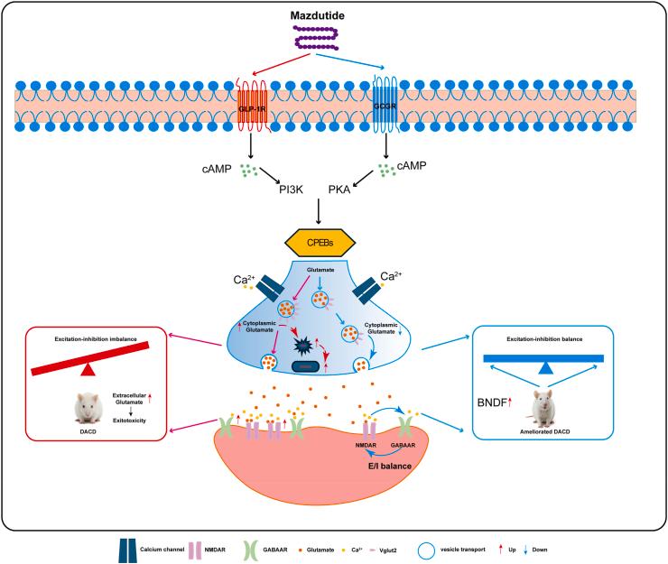 https://cdn.ncbi.nlm.nih.gov/pmc/blobs/0fd9/12205698/6ecf2cf0d8ed/gr13.jpg