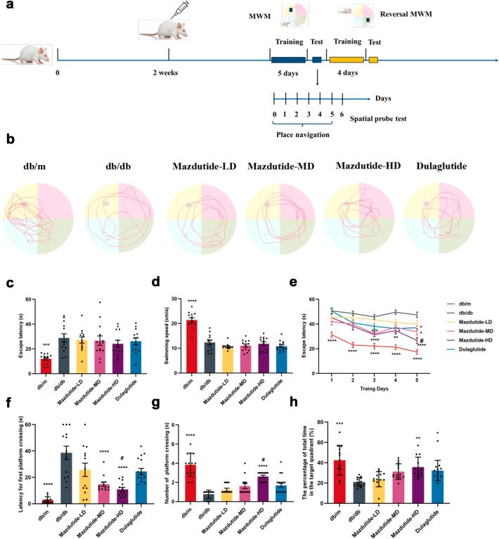 https://cdn.ncbi.nlm.nih.gov/pmc/blobs/0fd9/12205698/f33aff9834de/gr4.jpg