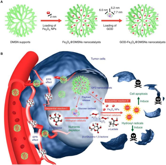 https://cdn.ncbi.nlm.nih.gov/pmc/blobs/0fd9/7511706/67d3a50544ae/fchem-08-00680-g0002.jpg