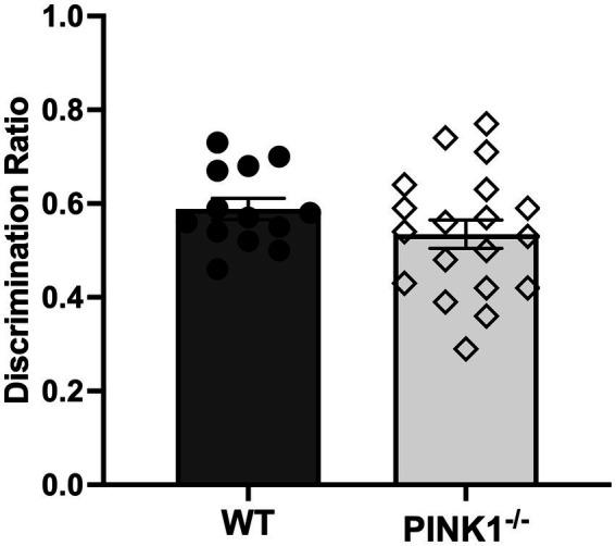 https://cdn.ncbi.nlm.nih.gov/pmc/blobs/0fdb/11137248/14ac6aaaa17b/fnins-18-1390215-g003.jpg
