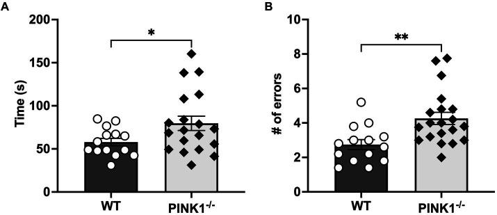 https://cdn.ncbi.nlm.nih.gov/pmc/blobs/0fdb/11137248/e4142922b64f/fnins-18-1390215-g002.jpg