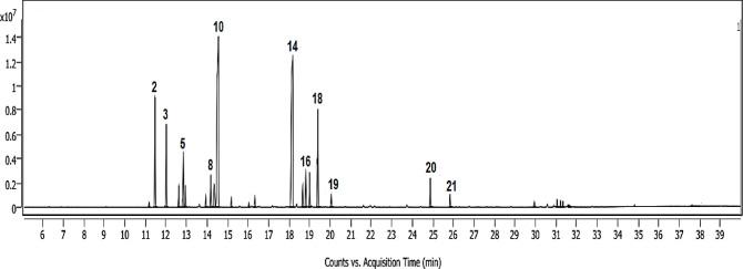 https://cdn.ncbi.nlm.nih.gov/pmc/blobs/0fde/12397425/20aac049e654/41598_2025_12233_Fig3_HTML.jpg